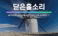 🌟닫은홀소리: 입을 조금 열고, 혀의 위치를 높여서 발음하는 모음. 국어에서는 ‘ㅣ’, ‘ㅟ’, ‘ㅡ’, ... - 표준국어대사전