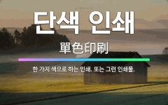 🌟단색 인쇄: 한 가지 색으로 하는 인쇄. 또는 그런 인쇄물. - 표준국어대사전