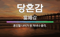 🌟당혼감: 혼인할 나이가 된 처녀나 총각. - 표준국어대사전