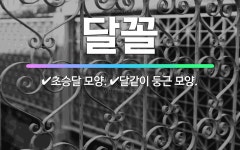 🌟달꼴: 달같이 둥근 모양., 초승달 모양. - 표준국어대사전