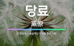 🌟당료: 한 정당에서 중심적인 직책을 맡은 사람. - 표준국어대사전