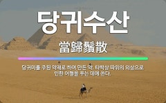 🌟당귀수산: 당귀미를 주된 약재로 하여 만든 약. 타박상 따위의 외상으로 인한 어혈을 푸는 데에 쓴다. - 표준국어대사전