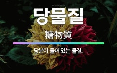 🌟당물질: 당분이 들어 있는 물질. - 표준국어대사전