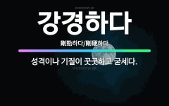 🌟강경하다: 성격이나 기질이 꿋꿋하고 굳세다. - 표준국어대사전