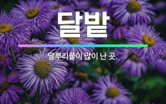🌟달밭: 달뿌리풀이 많이 난 곳. - 표준국어대사전