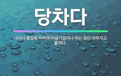 🌟당차다: 나이나 몸집에 비하여 마음가짐이나 하는 짓이 야무지고 올차다. - 표준국어대사전