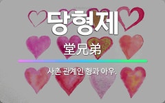 🌟당형제: 사촌 관계인 형과 아우. - 표준국어대사전