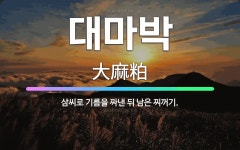 🌟대마박: 삼씨로 기름을 짜낸 뒤 남은 찌꺼기. - 표준국어대사전