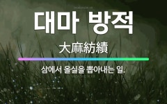 🌟대마 방적: 삼에서 올실을 뽑아내는 일. - 표준국어대사전