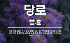 🌟당로: 선술집의 술청에 앉아 술을 팖을 이르는 말. 전한(前漢)의 사마상여가 자기 아내 탁문군(卓文君)을... - 표준국어대사전