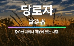 🌟당로자: 중요한 지위나 직분에 있는 사람. - 표준국어대사전