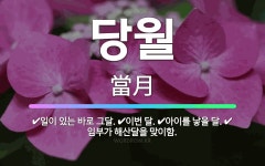 🌟당월: 일이 있는 바로 그달., 임부가 해산달을 맞이함., 아이를 낳을 달., 이번 달. - 표준국어대사전