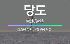 🌟당도: 중요한 지위나 직분에 있음. - 표준국어대사전
