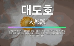 🌟대도호: 조선 시대에, 안동ㆍ창원ㆍ강릉ㆍ영변ㆍ영흥의 다섯 곳에 둔 지방 행정 기관., 고려 현종 9년(1... - 표준국어대사전