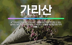 🌟가리산: ‘가리사니’의 준말. (가리사니: 사물을 분간하여 판단할 수 있는 실마리.), ‘가리사니’의 준... - 표준국어대사전