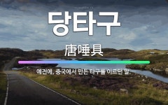 🌟당타구: 예전에, 중국에서 만든 타구를 이르던 말. - 표준국어대사전