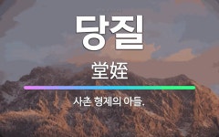 🌟당질: 사촌 형제의 아들. - 표준국어대사전