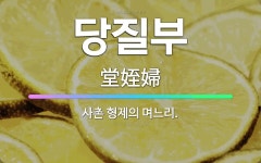 🌟당질부: 사촌 형제의 며느리. - 표준국어대사전