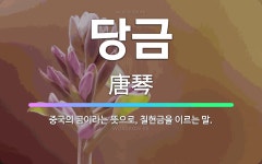 🌟당금: 중국의 금이라는 뜻으로, 칠현금을 이르는 말. - 표준국어대사전
