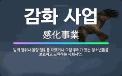 🌟감화 사업: 범죄 행위나 불량 행위를 하였거나 그럴 우려가 있는 청소년들을 보호하고 교육하는 사회사업. - 표준국어대사전