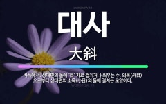 🌟대사: 바둑에서, 상대편의 돌에 ‘目’ 자로 걸치거나 씌우는 수. 외목(外目)으로부터 상대편의 소목(小目... - 표준국어대사전