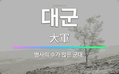 🌟대군: 병사의 수가 많은 군대. - 표준국어대사전