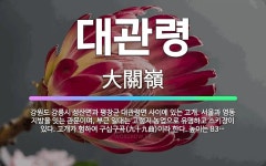 🌟대관령: 강원도 강릉시 성산면과 평창군 대관령면 사이에 있는 고개. 서울과 영동 지방을 잇는 관문이며, ... - 표준국어대사전