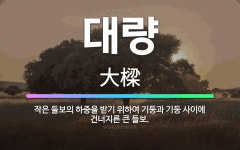 🌟대량: 작은 들보의 하중을 받기 위하여 기둥과 기둥 사이에 건너지른 큰 들보. - 표준국어대사전