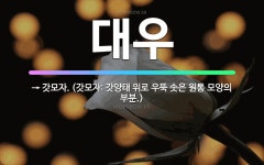🌟대우: → 갓모자. (갓모자: 갓양태 위로 우뚝 솟은 원통 모양의 부분.) - 표준국어대사전