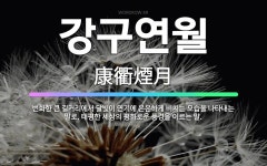 🌟강구연월: 번화한 큰 길거리에서 달빛이 연기에 은은하게 비치는 모습을 나타내는 말로, 태평한 세상의 평화... - 표준국어대사전