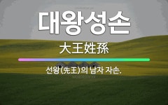 🌟대왕성손: 선왕(先王)의 남자 자손. - 표준국어대사전