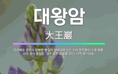 🌟대왕암: 경상북도 경주시 양북면 봉길리 앞바다에 있는 신라 문무왕의 수중 왕릉. 사적 정식 명칭은 ‘경주... - 표준국어대사전