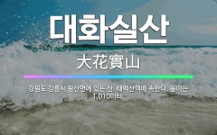 🌟대화실산: 강원도 강릉시 왕산면에 있는 산. 태백산맥에 속한다. 높이는 1,010미터. - 표준국어대사전
