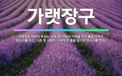 🌟가랫장구: 가래질을 하면서 부르는 노래. 한 사람이 가래를 잡고 흙을 뜨면서 앞소리를 하고, 다른 몇 사... - 표준국어대사전