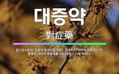 🌟대증약: 겉으로 나타난 질병의 증세만을 완화ㆍ치료하기 위하여 사용하는 약. 발열에 대하여 해열제를 쓰는 ... - 표준국어대사전