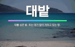 🌟대밭: 대를 심은 밭. 또는 대가 많이 자라고 있는 땅. - 표준국어대사전