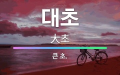 🌟대초: 큰 초. - 표준국어대사전