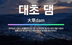 🌟대초 댐: 전라남도 나주시 송월동에 있는 댐. 1976년에 영산강 유역 개발 사업의 일환으로 축조된 국내... - 표준국어대사전