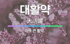 🌟대활약: 아주 큰 활약. - 표준국어대사전