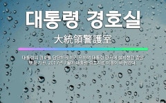 🌟대통령 경호실: 대통령의 경호를 담당하게 하기 위하여 대통령 관저에 설치했던 중앙 행정 기관. 2017년... - 표준국어대사전