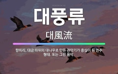 🌟대풍류: 향피리, 대금 따위의 대나무로 만든 관악기가 중심이 된 연주 형태. 또는 그런 음악. - 표준국어...
