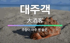 🌟대주객: 주량이 아주 센 술꾼. - 표준국어대사전