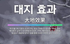 🌟대지 효과: 무선 통신에 지표의 조건이 주는 효과. 안테나가 대지에 가까운 경우 복사파의 일부가 대지면에... - 표준국어대사전