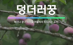🌟덩더러꿍: 북이나 장구 따위를 어울러서 두드리는 소리. - 표준국어대사전