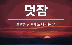🌟덧잠: 잘 만큼 잔 후에 또 더 자는 잠. - 표준국어대사전