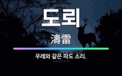 🌟도뢰: 우레와 같은 파도 소리. - 표준국어대사전