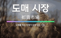 🌟도매 시장: 도매를 하는 가게가 모여 있는 시장. - 표준국어대사전