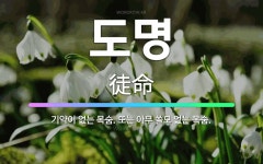 🌟도명: 기약이 없는 목숨. 또는 아무 쓸모 없는 목숨. - 표준국어대사전