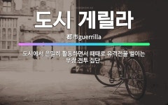 🌟도시 게릴라: 도시에서 은밀히 활동하면서 때때로 유격전을 벌이는 무장 전투 집단. - 표준국어대사전
