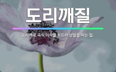 🌟도리깨질: 도리깨로 곡식 이삭을 두드려 낟알을 떠는 일. - 표준국어대사전